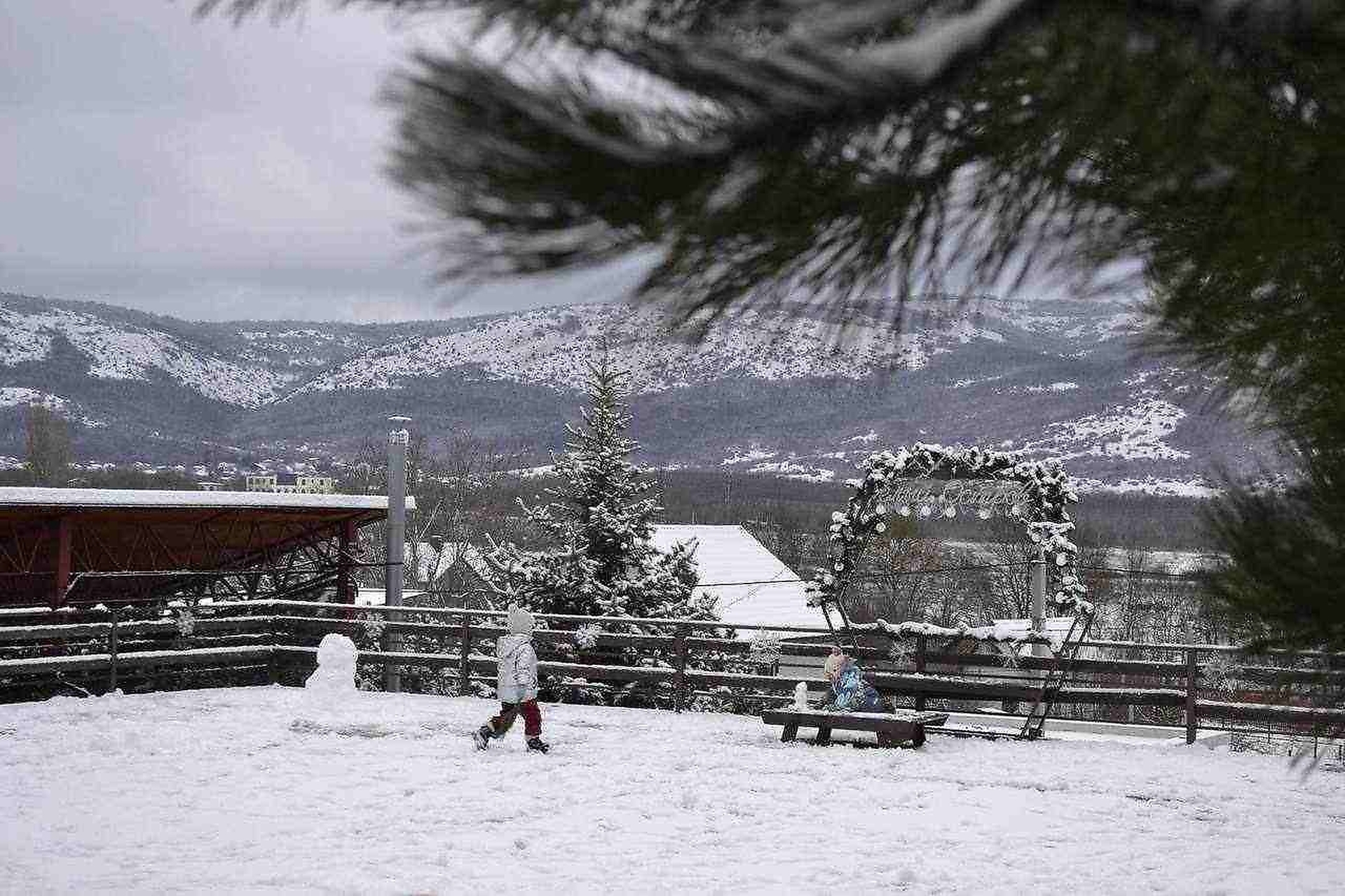 Территория 26